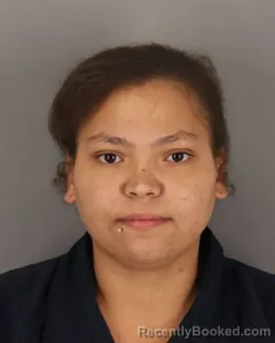 Mugshot of TIERRA GIBSON booked in Jefferson County, Texas on March 28, 2026