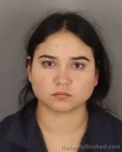 Mugshot of ASHLEY MORENO booked in Jefferson County, Texas on March 29, 2026