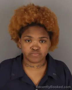 Mugshot of KESHAWNDA RILEY booked in Jefferson County, Texas on March 30, 2026