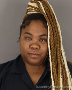 Mugshot of RAEGAN HOWARD booked in Jefferson County, Texas on March 31, 2026