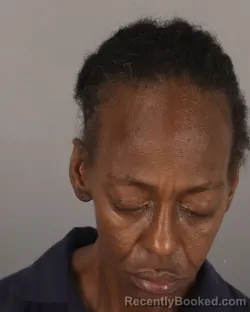 Mugshot of VANESSA HALL booked in Jefferson County, Texas on April 2, 2026