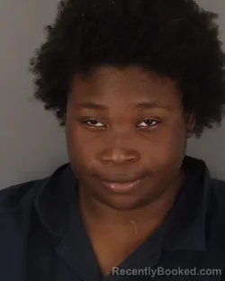 Mugshot of ANGEL HARRIS booked in Jefferson County, Texas on April 2, 2026