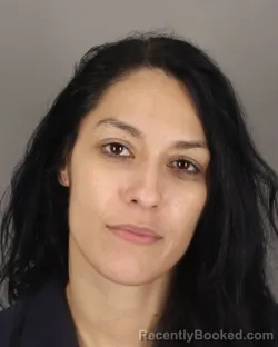 Mugshot of ASHLEY STEPHENS booked in Jefferson County, Texas on April 3, 2026