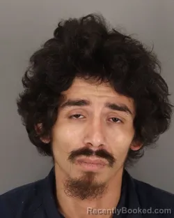 Mugshot of ALEX DELFIERRO booked in Jefferson County, Texas on April 3, 2026