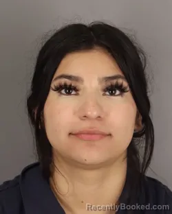 Mugshot of ELIZABETH RAMOS booked in Jefferson County, Texas on April 5, 2026