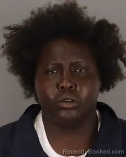 Mugshot of LISA HARRIS booked in Jefferson County, Texas on April 5, 2026