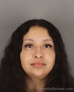 Mugshot of YANIRA ARTIGA booked in Jefferson County, Texas on May 12, 2026