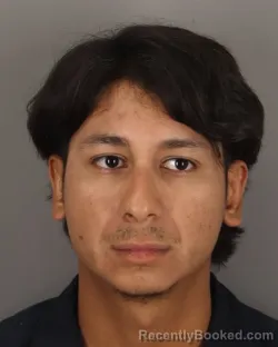 Mugshot of ISMAEL PALOMO booked in Jefferson County, Texas on May 30, 2026