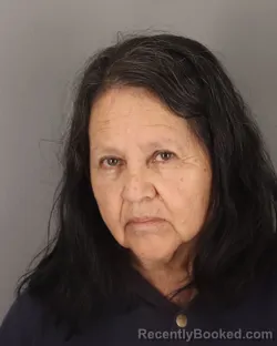 Mugshot of EVANGELINA ESTUPINAN FLORES booked in Jefferson County, Texas on June 1, 2026