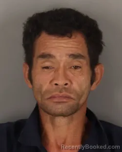 Mugshot of LUAN NGUYEN booked in Jefferson County, Texas on July 9, 2026
