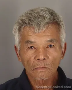 Mugshot of DONG DAO booked in Jefferson County, Texas on July 13, 2026