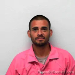 Mugshot of JUAN LAURELES
