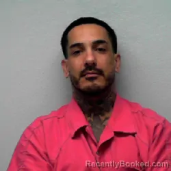 Mugshot of MARK ANDREW SALINAS