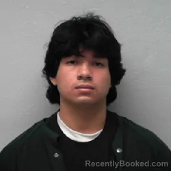 Mugshot of JODY LENO CANDIA