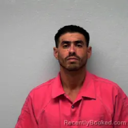 Mugshot of HENRY BERNAL