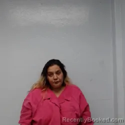 Mugshot of ANNA VEAL MUNOZ