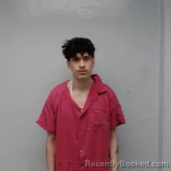 Mugshot of ANTHONY JORGE CARDENAS