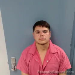 Mugshot of JAIME DANIEL SALINAS