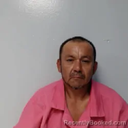 Mugshot of GUADALUPE SALINAS