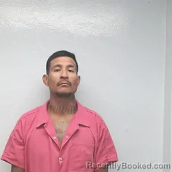 Mugshot of Gassdy Gael Tovar booked in Jim Wells County, Texas on August 24, 2026