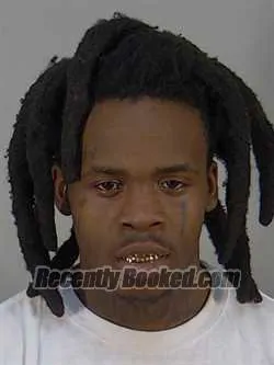 Booking photo from Lake County, Florida