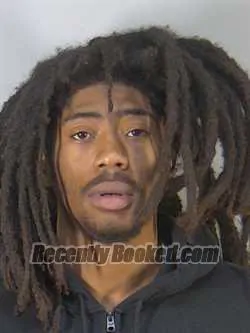 Booking photo from Lake County, Florida