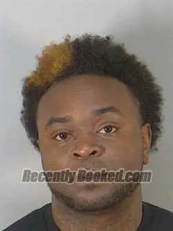 Booking photo from Lake County, Florida