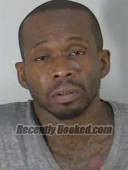 Booking photo from Lake County, Florida