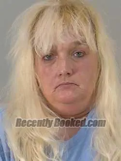 Booking photo from Lake County, Florida