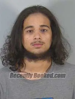 Booking photo from Lake County, Florida