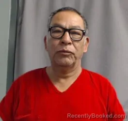 Mugshot of TERESO MEJIA CAMARILLO