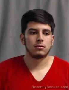 Mugshot of JESUS ALFREDO GALLEOS-YANEZ