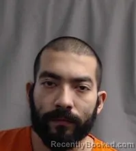 Mugshot of MATEO ANDRES VILLARREAL