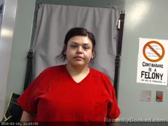 Mugshot of AMANDA KRISTINE VILLANUEVA-