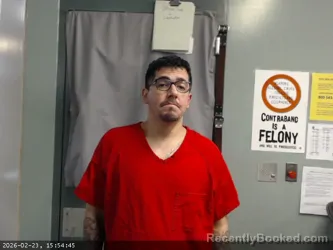 Mugshot of DAVID ELIAS CASAREZ