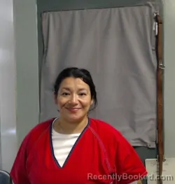 Mugshot of LESLIE ANN ALVARADO