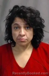 Mugshot of DEBRA LEE ALVEAR
