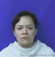 Mugshot of LUISA ANN ARIAS booked in Kaufman County, Texas on May 29, 2026