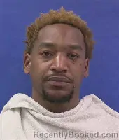 Mugshot of TROY BURNETT