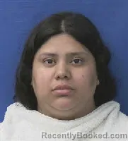 Mugshot of ROSEMARY CASTRO booked in Kaufman County, Texas on June 5, 2026