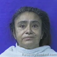 Mugshot of Sophia Chairez booked in Kaufman County, Texas on August 16, 2026