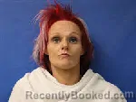 Mugshot of HEATHER DUDLEY