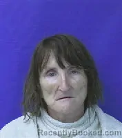 Mugshot of Shelly Denise Eldridge booked in Kaufman County, Texas on June 8, 2026