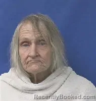 Mugshot of Paula Kay Higgins booked in Kaufman County, Texas on September 27, 2026