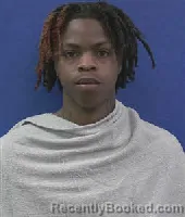 Mugshot of AJ Lovings