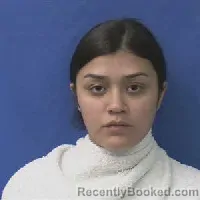 Mugshot of Esmeralda Villarreal booked in Kaufman County, Texas on August 30, 2026