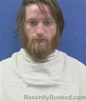 Mugshot of MICHAEL WOLFE