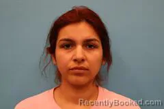 Booking photo from Kendall County, Texas