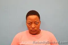 Booking photo from Kendall County, Texas