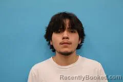 Mugshot of Jayden Arreola